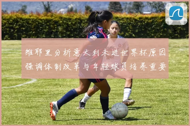 维耶里分析意大利未进世界杯原因强调体制改革与年轻球员培养重要性