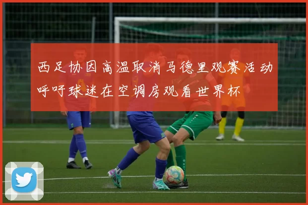 西足协因高温取消马德里观赛活动呼吁球迷在空调房观看世界杯